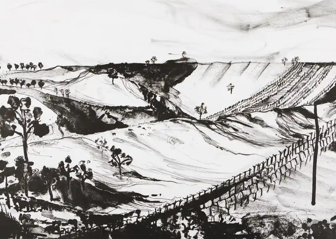 Clovely Estate original artwork commissions for visual brand language