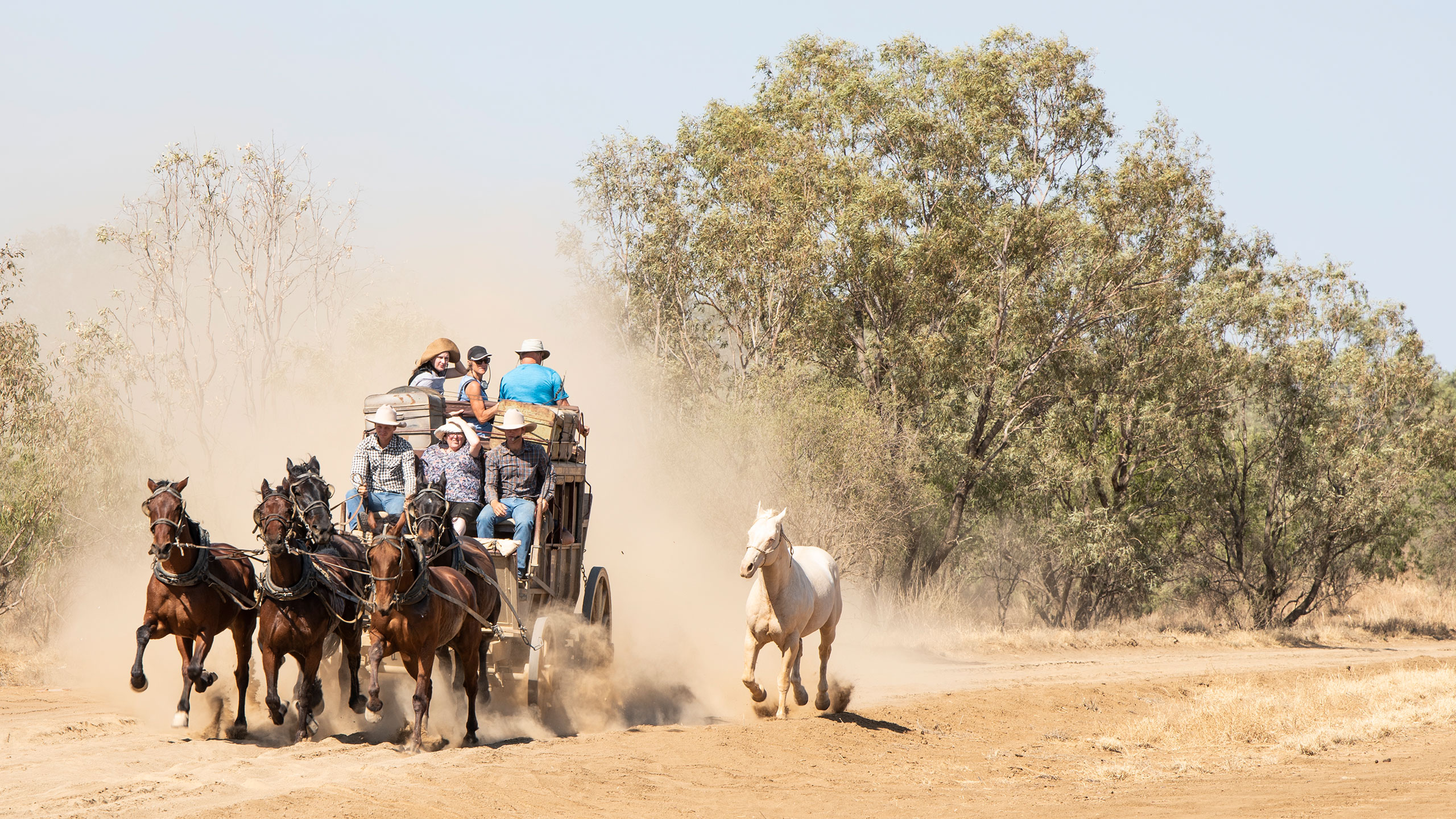 Outback Pioneers Cobb and Co Stagecoach gallop