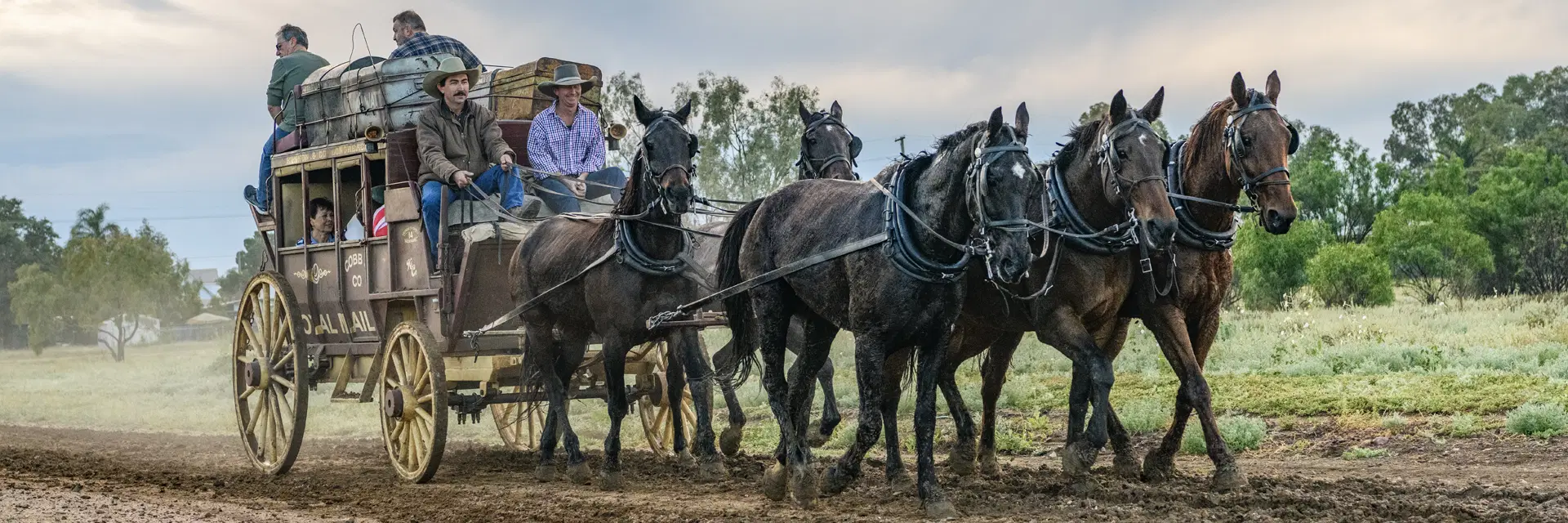 Outback Pioneers Cobb & Co Stagecoach Experience