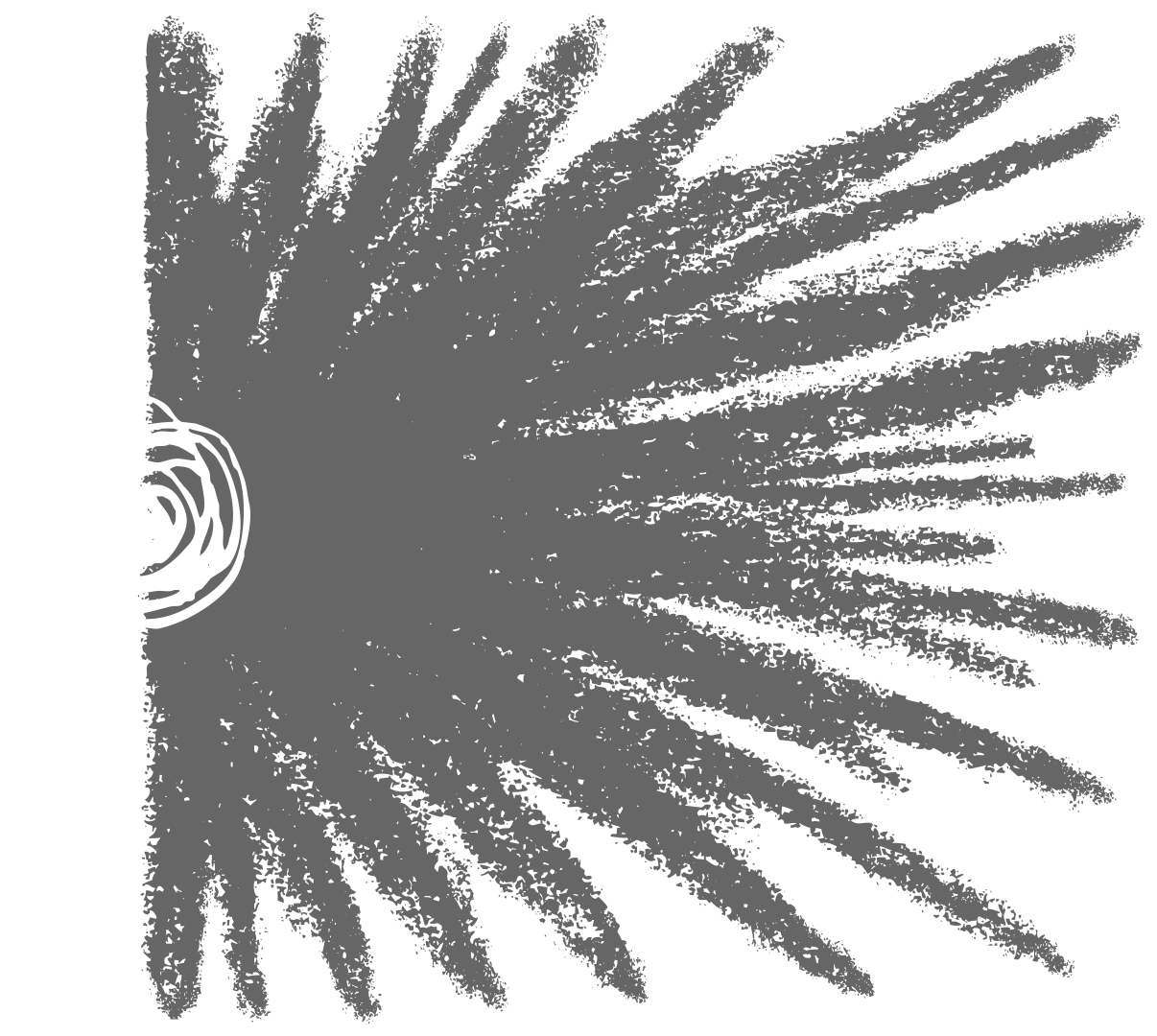 Lloyd Grey brand transform illustration