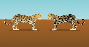 Lloyd Grey a leopard cannot change its spots illustration
