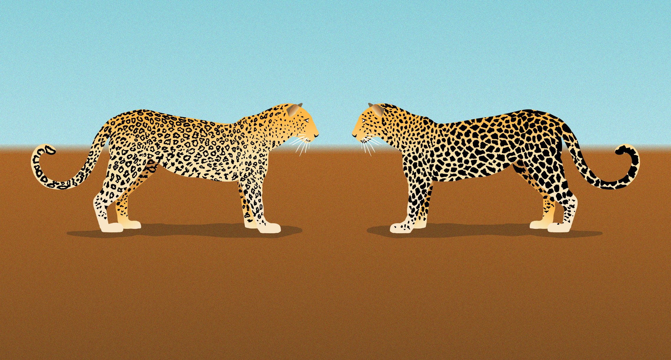 Leopard changing it's spots illustration