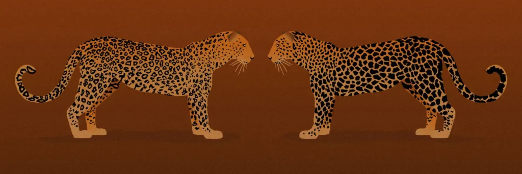 Rebranding like a leopard changing it's spots illustration