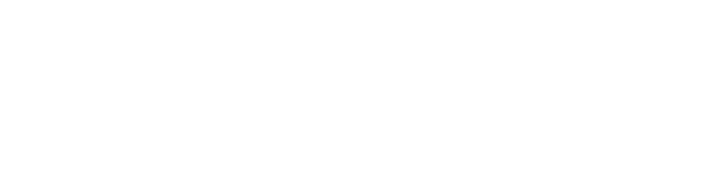 LloydGrey white logo