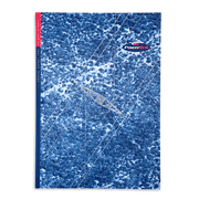 Powerlink Annual Report 1996 cover