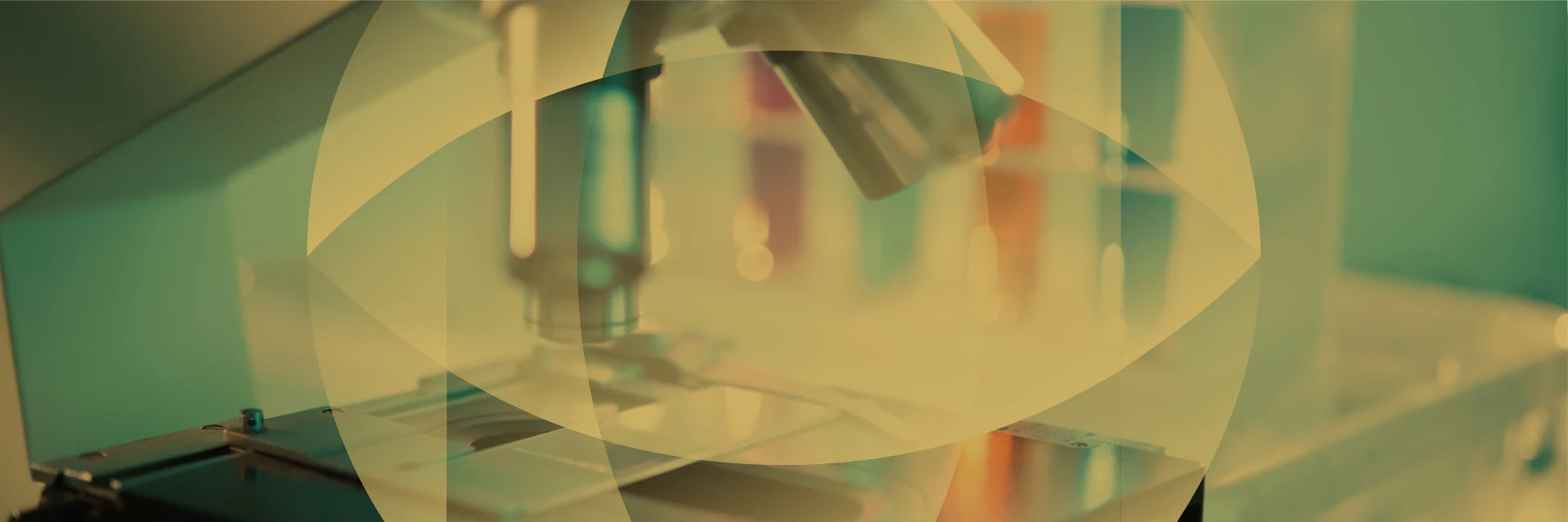 Aegium Foundation rebrand