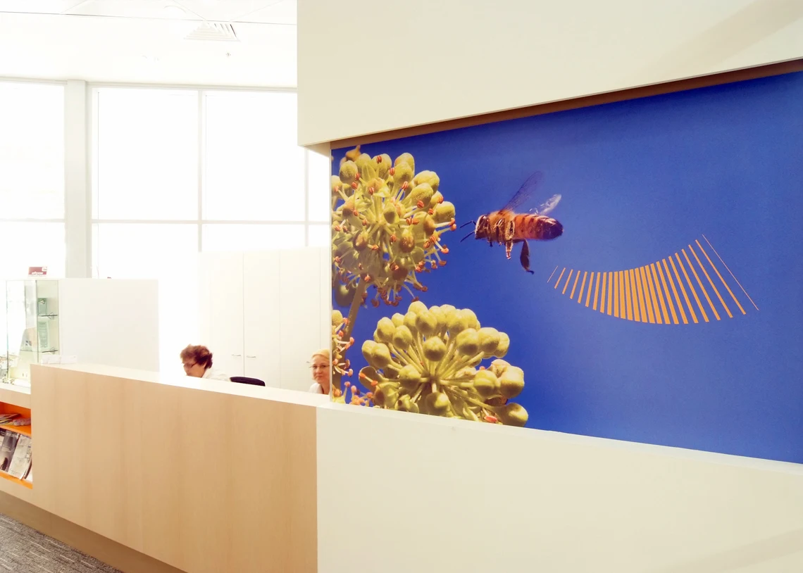 Attune Hearing in-clinic supergraphics