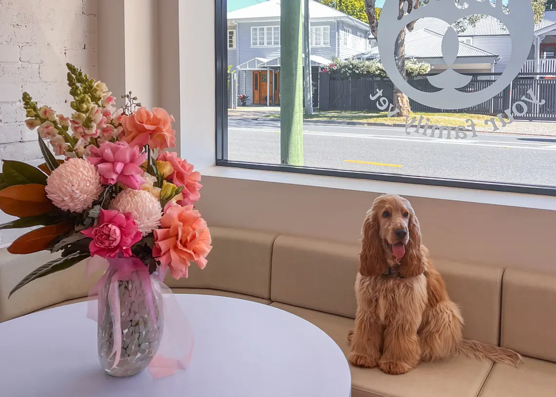 Hey Bud – so many happy customers