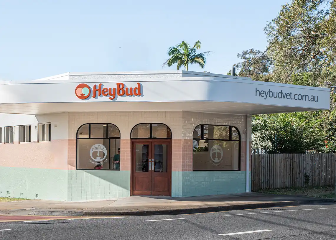 Hey Bud Vet front of clinic signage