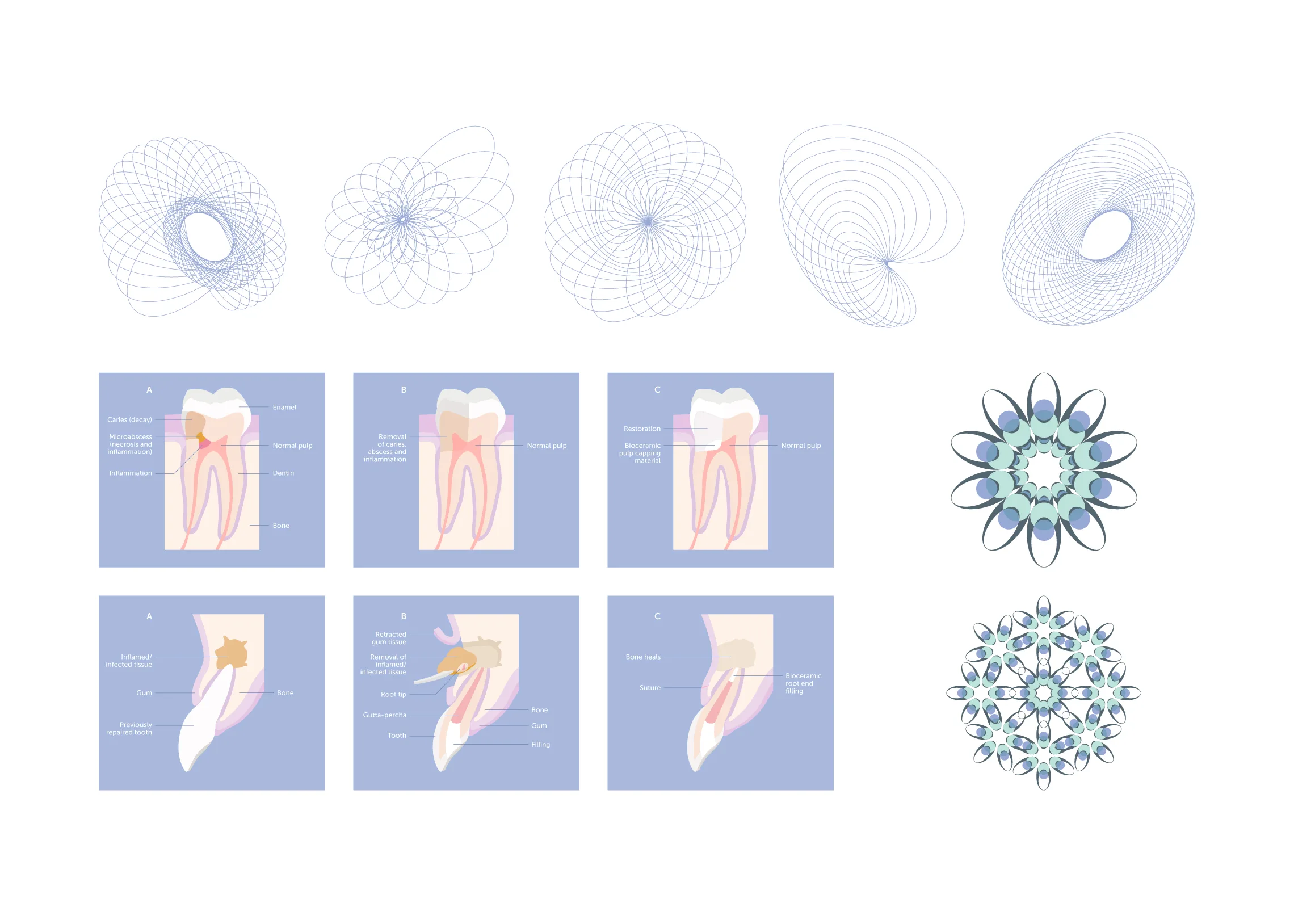 myEndodontist comprehensive graphic language library